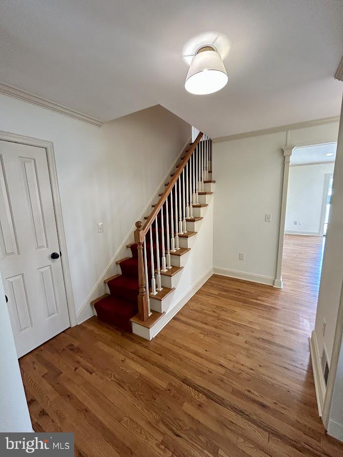 ELMWOOD TERR - Residential