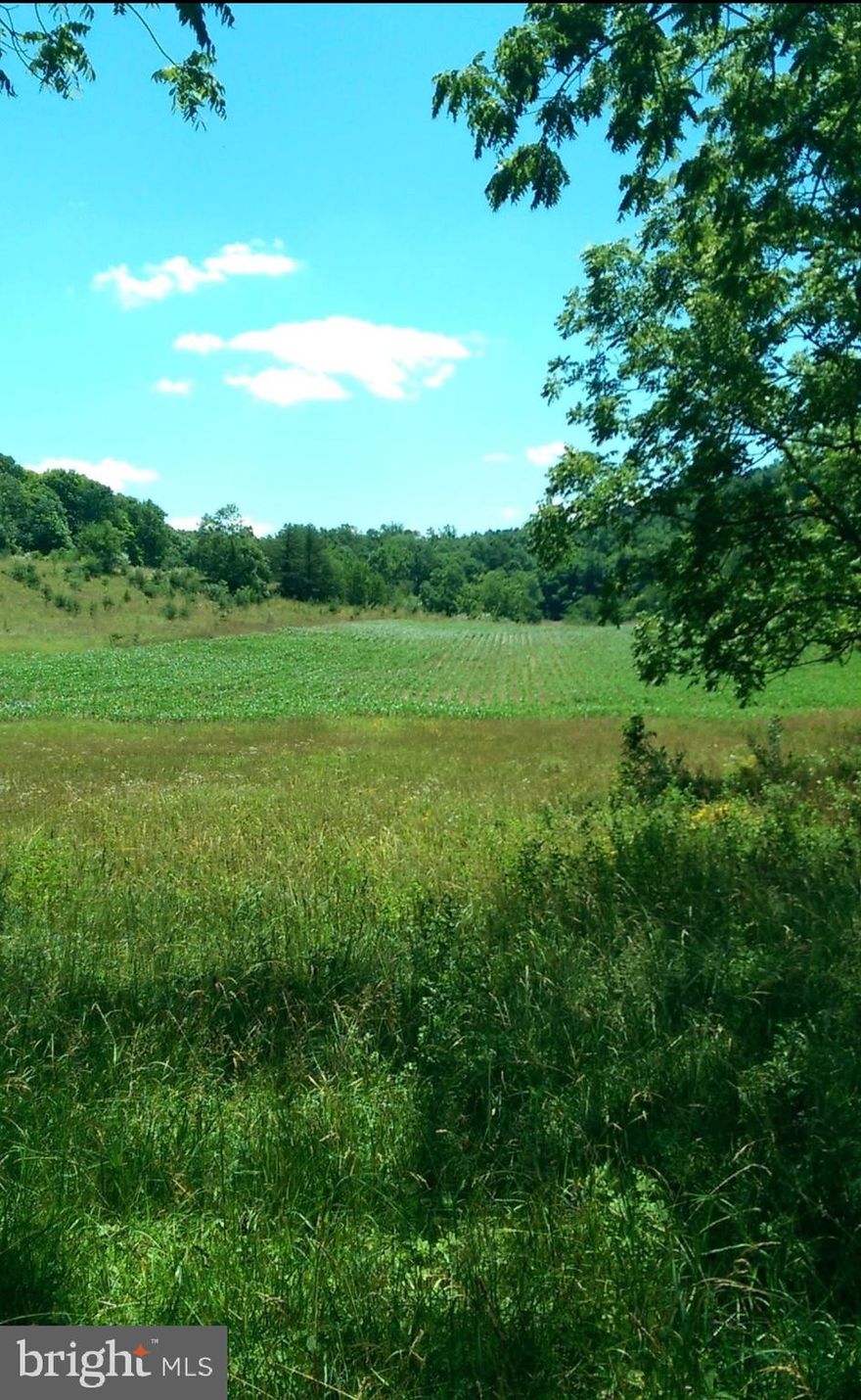 156,58 acres minutes from Winchester, VA! Opportunities like this are hard to find—expansive land with fields, woods, and a creek, ready for your vision of a farm, estate, or peaceful retreat.  Approximately half of the property could be farmed.

Prime land opportunity in the Winchester area featuring a desirable mix of open fields, mature wooded acreage, and a scenic creek running through the property. An existing home conveys and is being sold as-is, with the primary value in the land and its future potential.

An additional perc site is currently being filed with the county, offering increased flexibility for building and development. This property is well-suited for builders, investors, or those looking to create a custom estate.

With its blend of usable pasture and natural landscape, the property also presents an excellent opportunity to establish a working farm, a vineyard or create a charming farmette, with options for livestock and or  horses. Ideal for those seeking privacy, recreational use, or a peaceful rural lifestyle.

Conveniently located just 15 minutes from  numerous shopping, dining, and entertainment options in historic Winchester, VA.   Other destinations for outdoor activities include, only 15 minutes from golfing at Rock Harbor. Outdoor, 30 minutes to Cacapon State Park in West Virginia, offering extensive mountain biking trails,  hiking, swimming, kayaking, fishing and camping. 2 hours to Canaan Valley/Timberline for skiing  in WV and approximately 1 hour 15 minutes from Dulles International Airport—80 miles from Washington, DC,  1112 Stony Hill Rd., offers the perfect balance of seclusion and accessibility.

**AGENT MUST ACCOMPANY BUYER ** MUST HAVE APPOINTMENT TO TOUR PROPERTY. LIVESTOCK ON PROPERTY CURRENTLY.  PLEASE ENSURE THAT GATE IS CLOSED AFTER ENTERING AND LEAVING PROPERTY AS WELL AS ANY ELECTRIC FENCING.   Professional photos and drone video to be added after 4/4.  
24 hour notice required to see interior of home.  Currently Tenant occupied.  *Dog in the home" No drive-bys. Must have 4x4 capability to navigate road.  OFFERS DUE NO LATER THAN 9PM 4/6/26.  OWNER RESERVES RIGHT TO REVIEW ALL OFFERS AS RECEIVED.