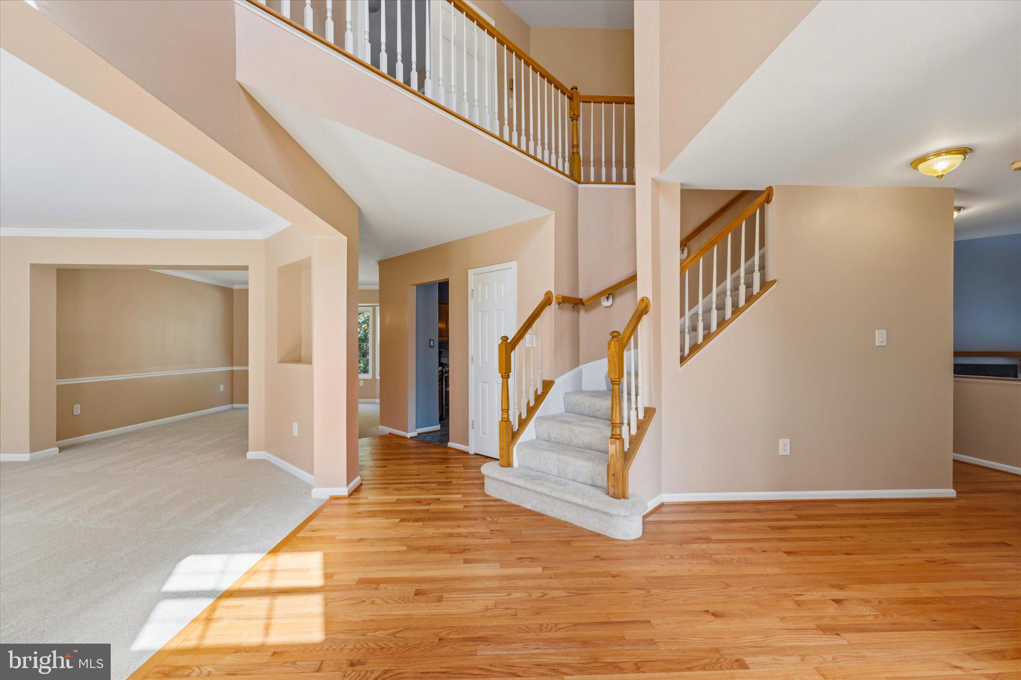 8259 TALL TIMBER DRIVE