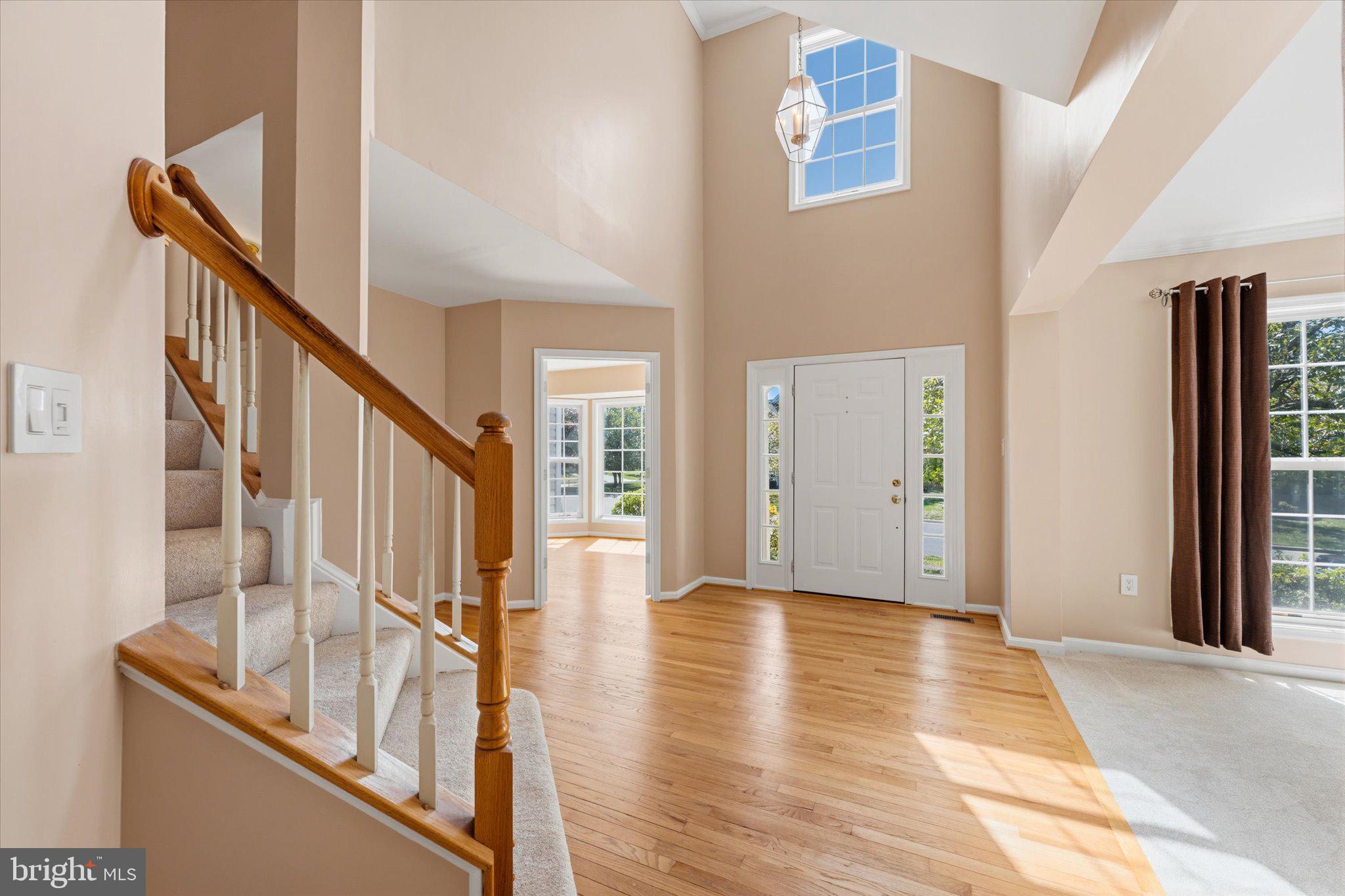 8259 TALL TIMBER DRIVE
