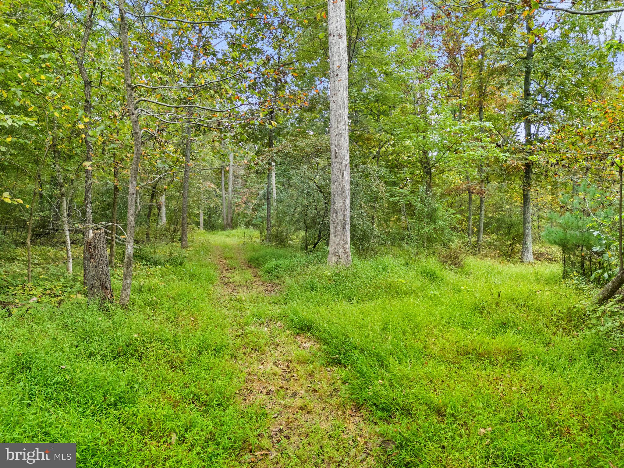 EVERGREEN - Residential