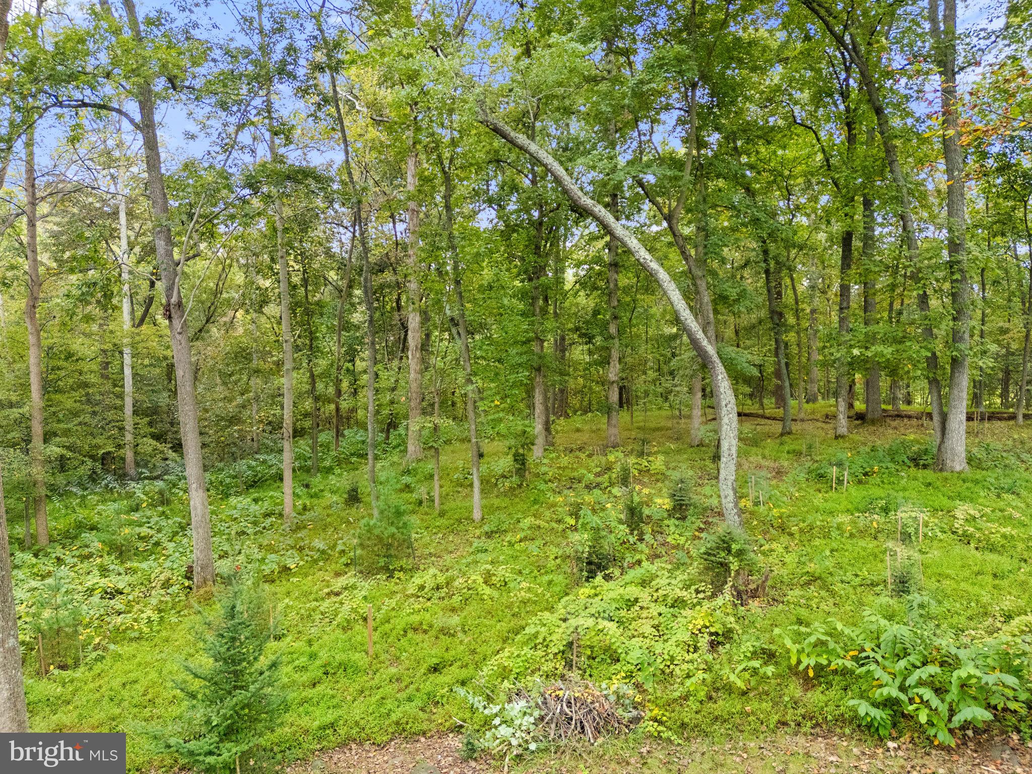 EVERGREEN - Residential