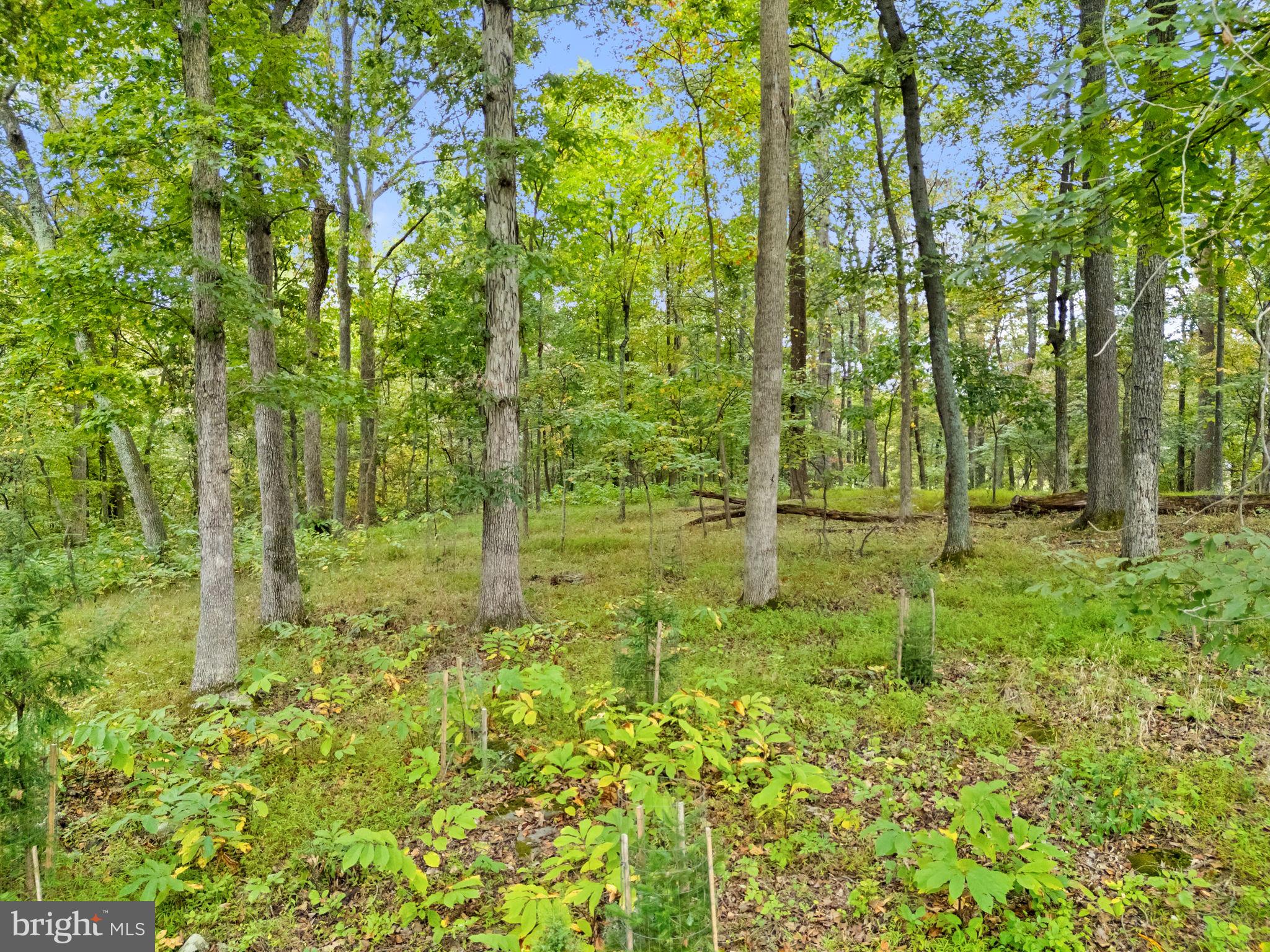 EVERGREEN - Residential