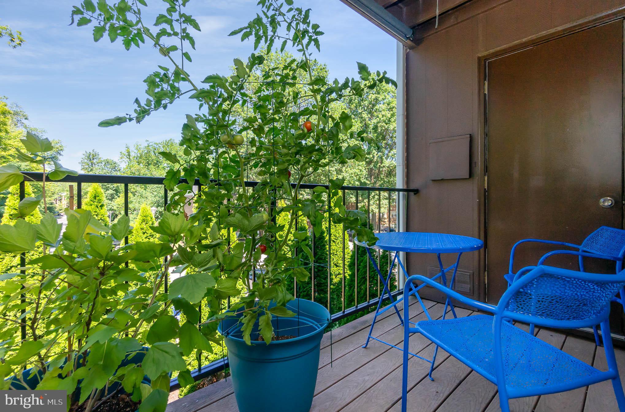 HICKORY HILLS - Residential