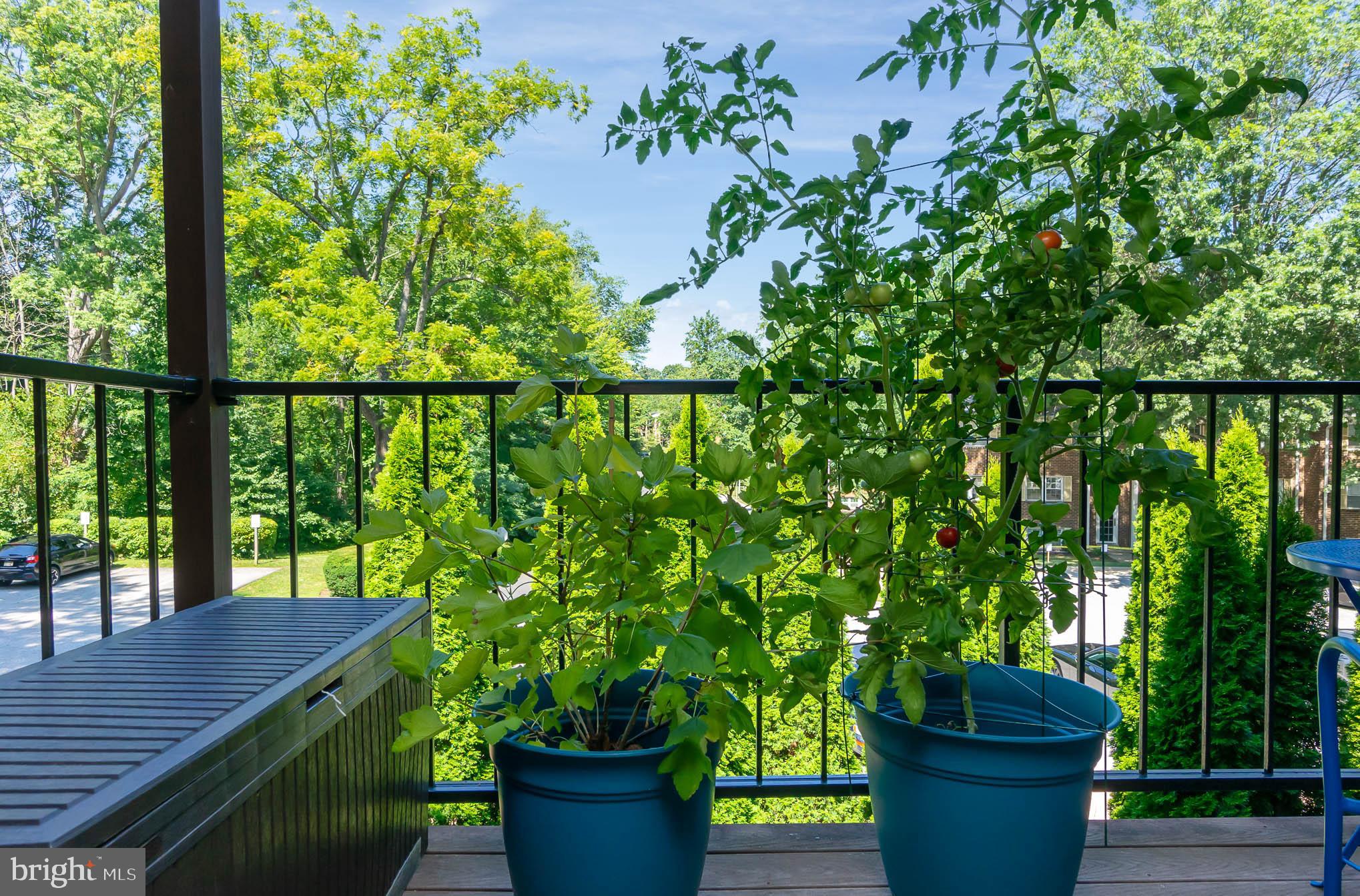 HICKORY HILLS - Residential