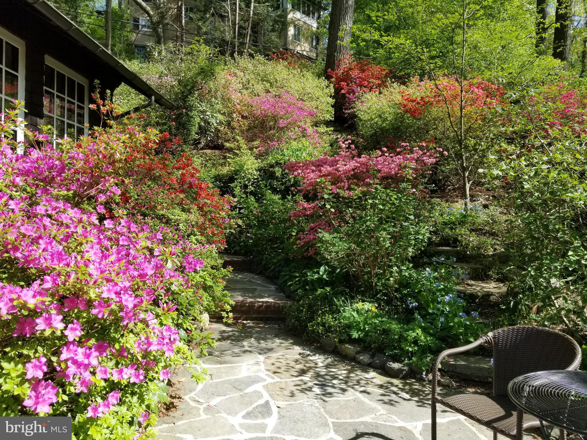 ROLAND PARK - Residential