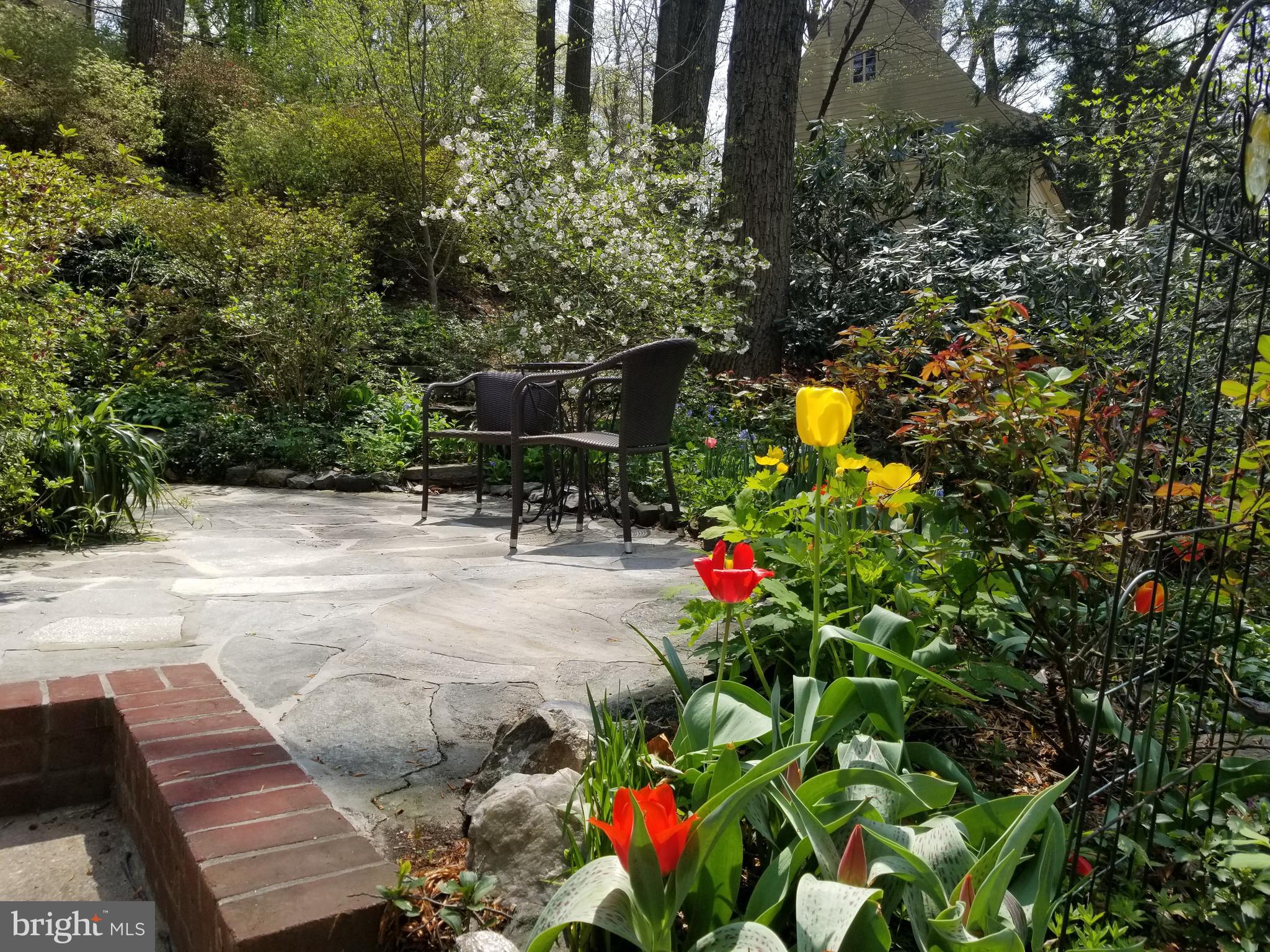 ROLAND PARK - Residential