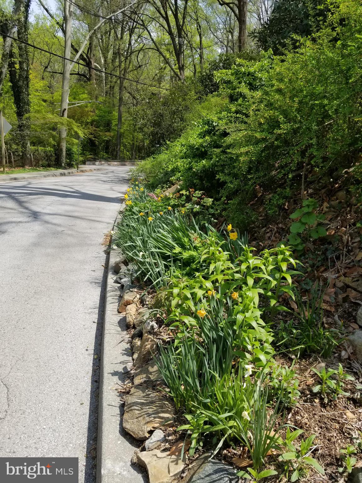 ROLAND PARK - Residential