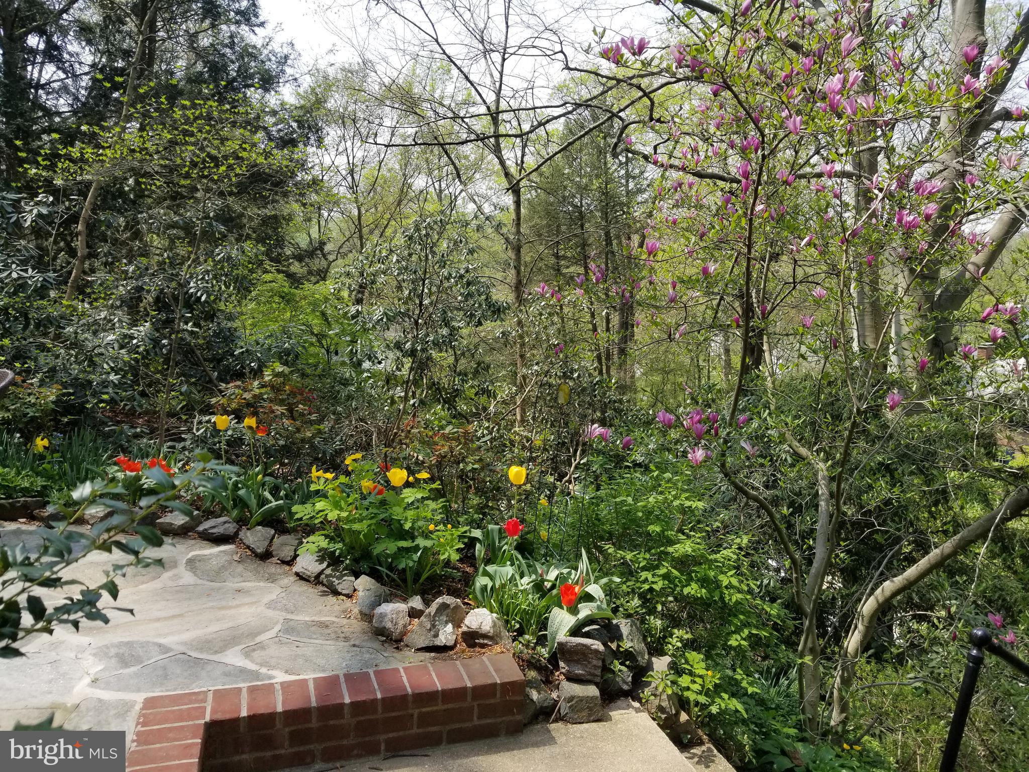 ROLAND PARK - Residential