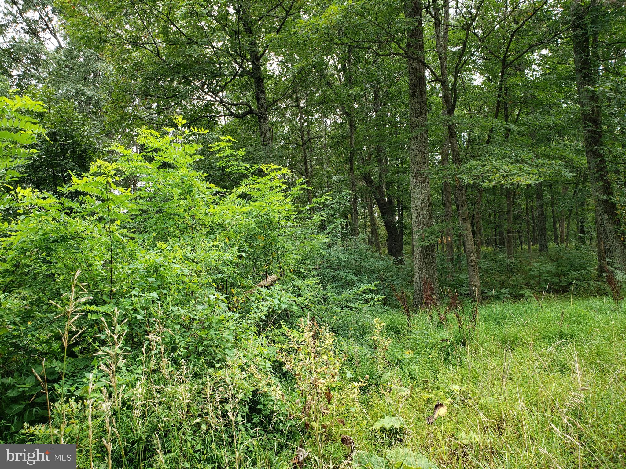 RITTERS HIDDEN VALLEY ESTATES - Land