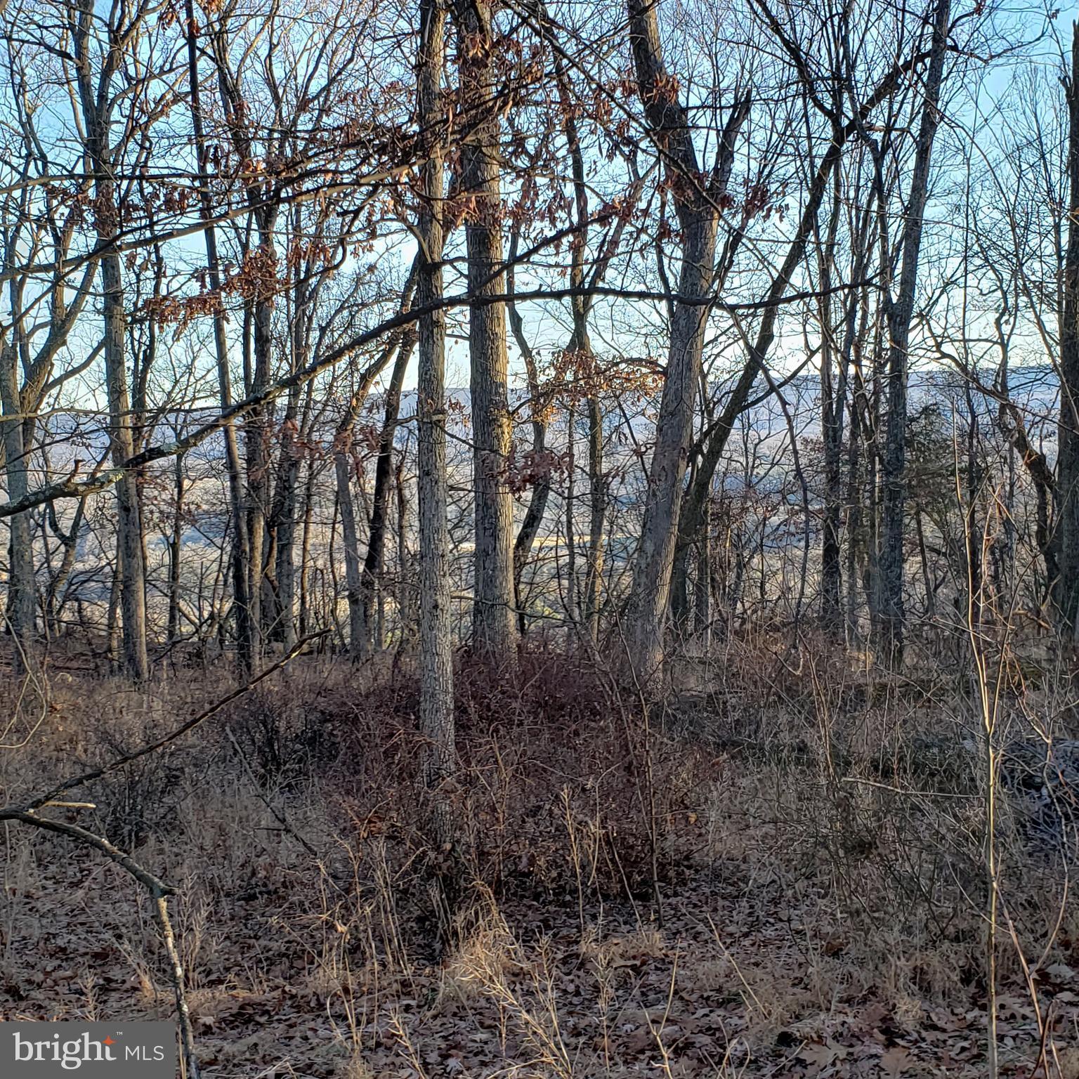 RITTERS HIDDEN VALLEY ESTATES - Land