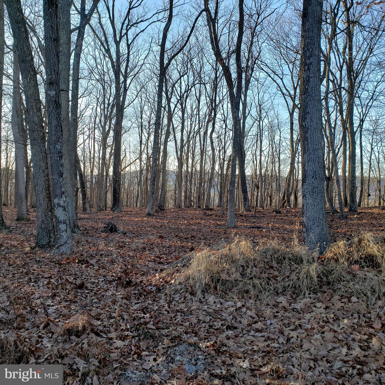 RITTERS HIDDEN VALLEY ESTATES - Land