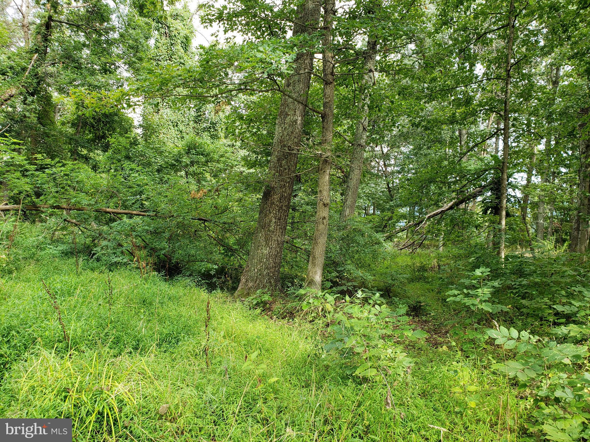 RITTERS HIDDEN VALLEY ESTATES - Land