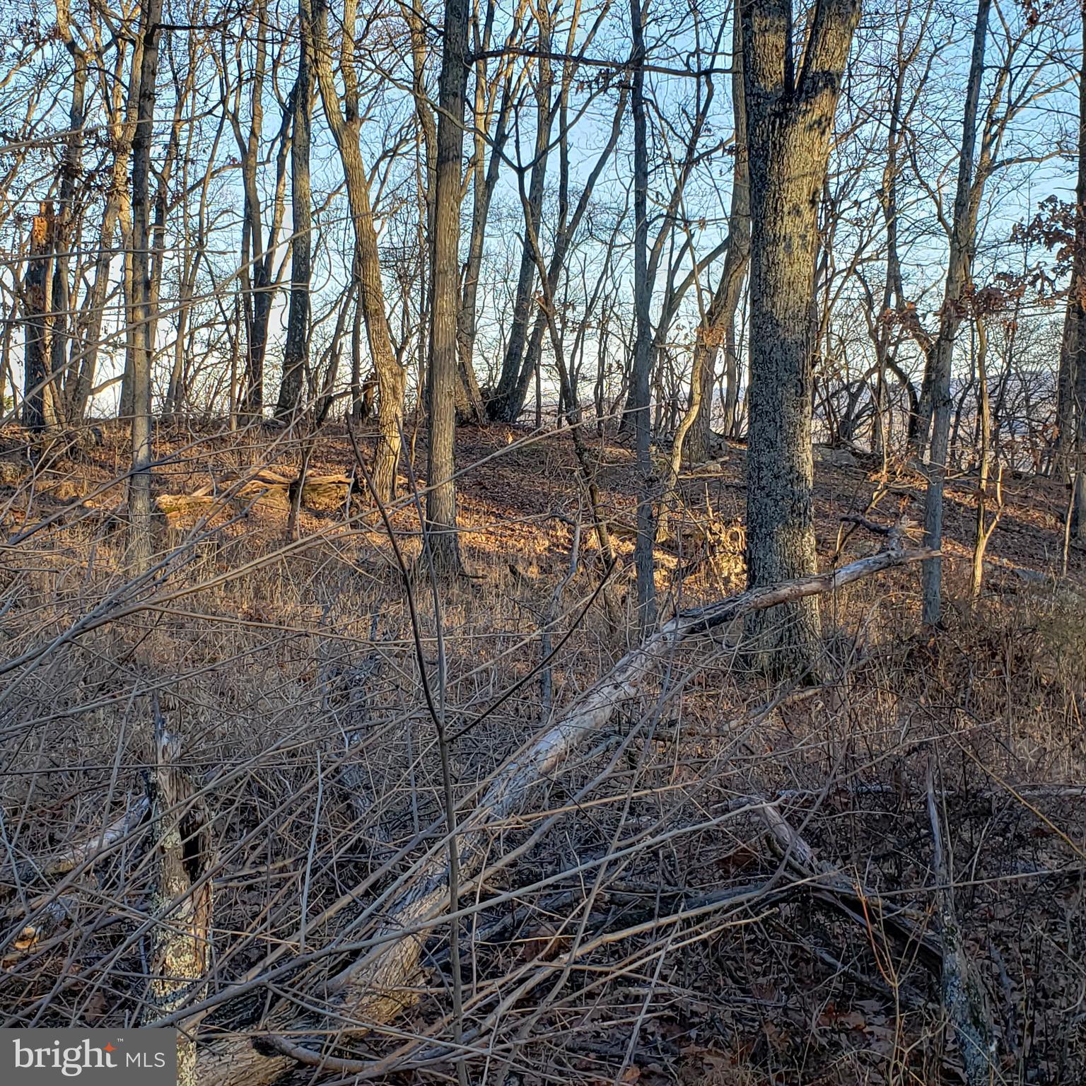 RITTERS HIDDEN VALLEY ESTATES - Land