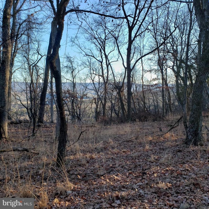 Great mountain top property. You can still hunt here and respectfully ride your ATVs on the community roads over 17 miles of roads. Dillons Run, a state recognized trout stream, runs through the lower valley of Ritters.   Fabulous building lot with spectacular view on east side of North Dillon Mountain over looking Cacapon River Valley  and Bear Garden Mountain. Community offers fishing and swimming lakes, beach area,  tennis courts,  pavilion/picnic area and miles of roads that allow ATV's! No HOA however Perpetual Road & Park Maintenance Fee apply. Two lots,  J  4.31 ac & K 9.07, a total of 9.07 acres. Lot K is flat and flows into lot J forming an interesting must see scenic ravine. The eastern border is a drop-off creates a secure and forever private side to the property. Property boarders on the west border of the Capon Valley Hunt Club. Reasonable offers considered.