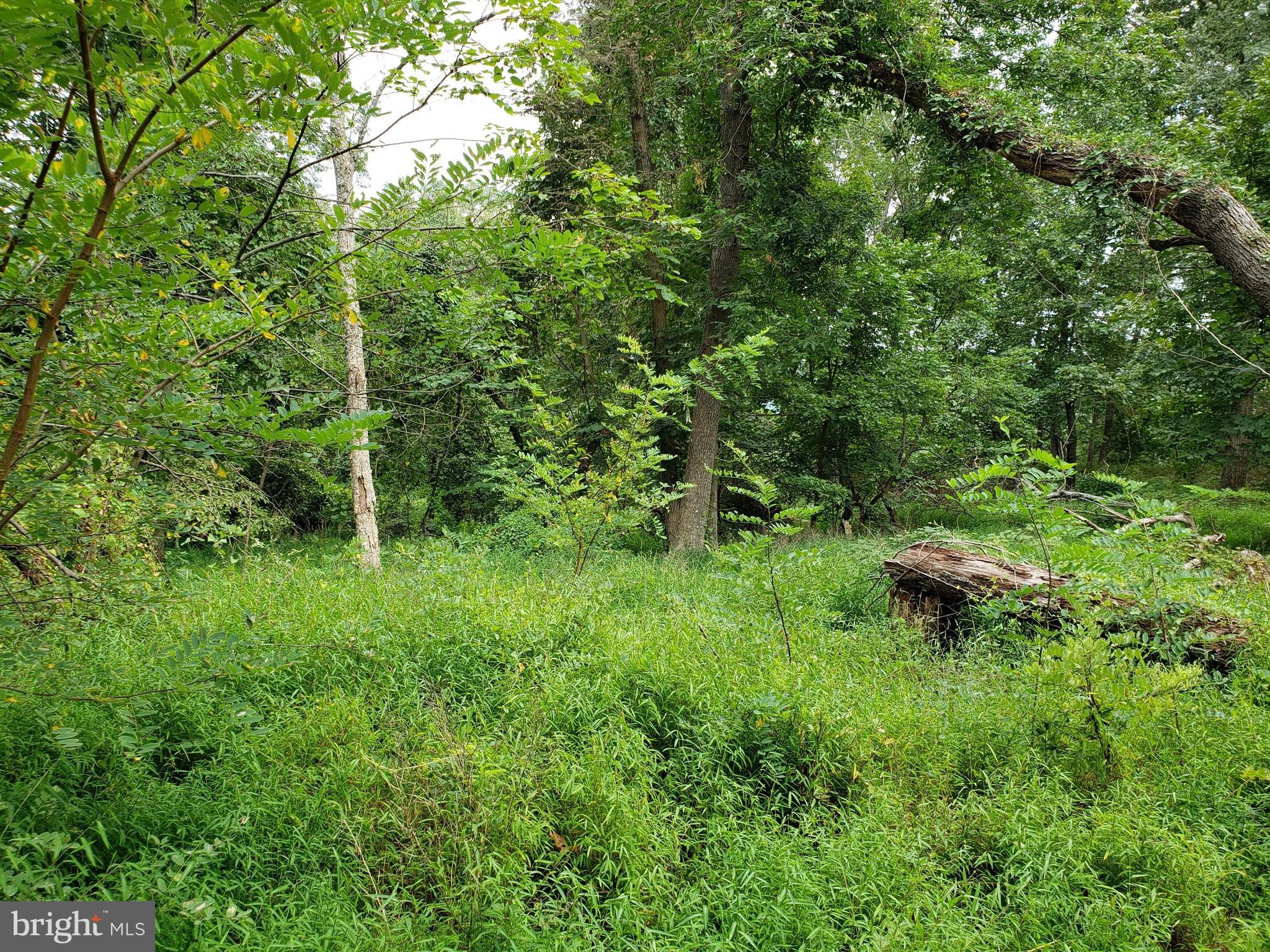 RITTERS HIDDEN VALLEY ESTATES - Land