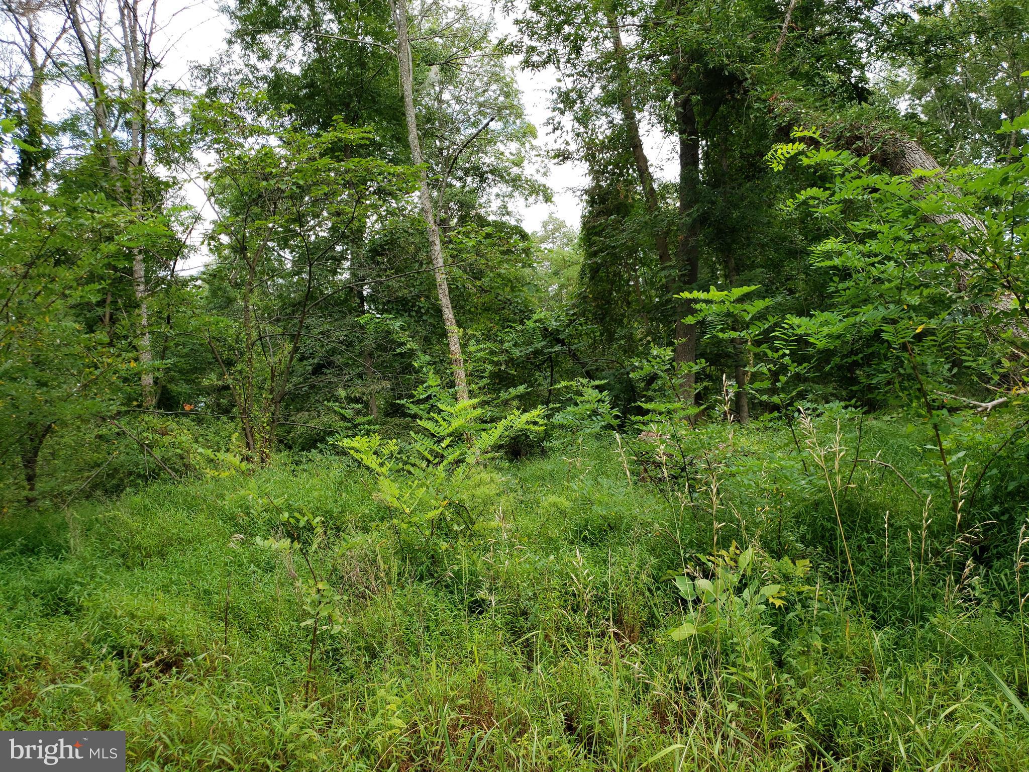 RITTERS HIDDEN VALLEY ESTATES - Land