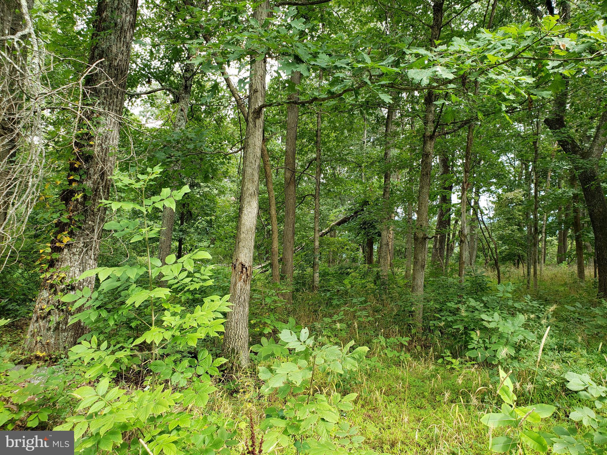 RITTERS HIDDEN VALLEY ESTATES - Land