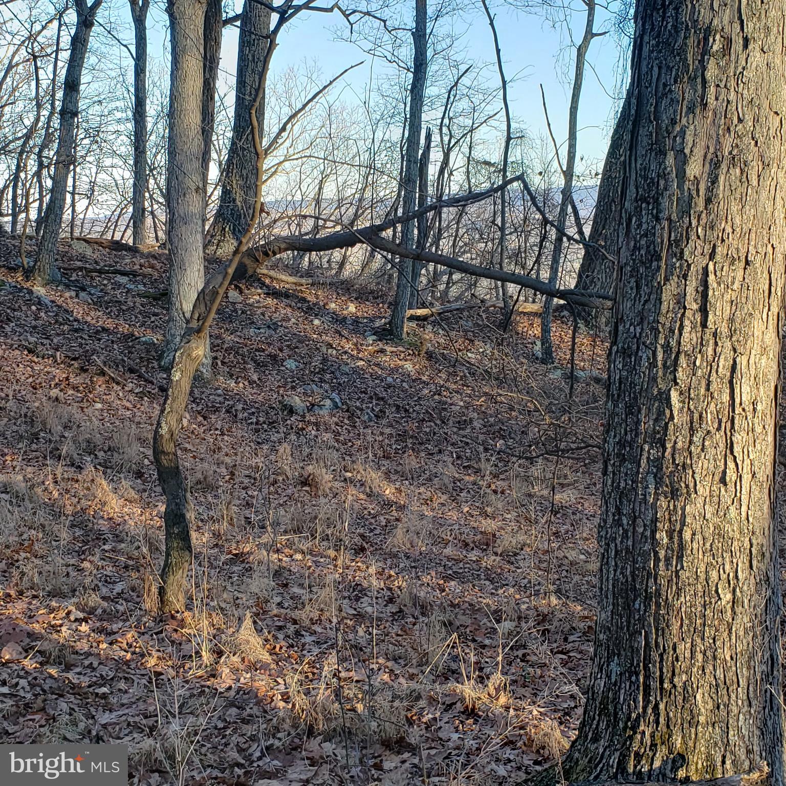 RITTERS HIDDEN VALLEY ESTATES - Land