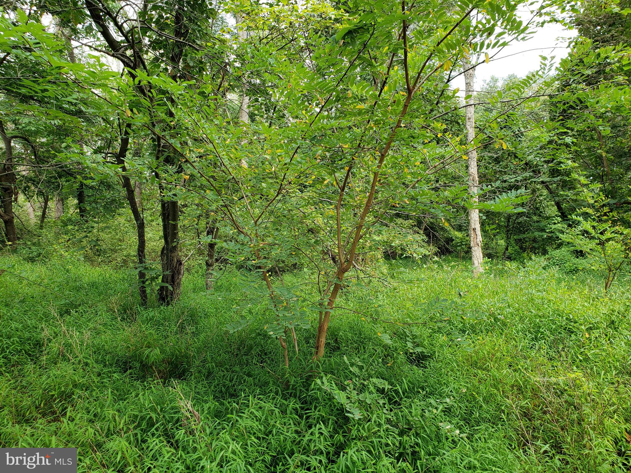 RITTERS HIDDEN VALLEY ESTATES - Land