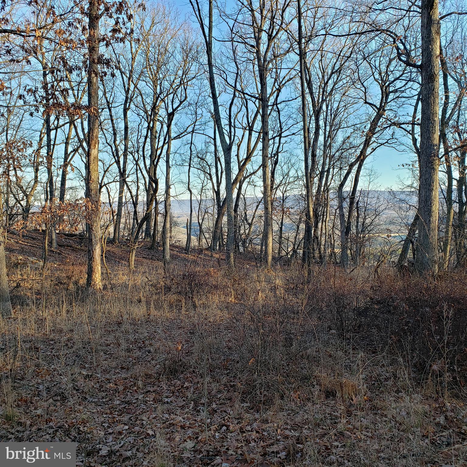 RITTERS HIDDEN VALLEY ESTATES - Land