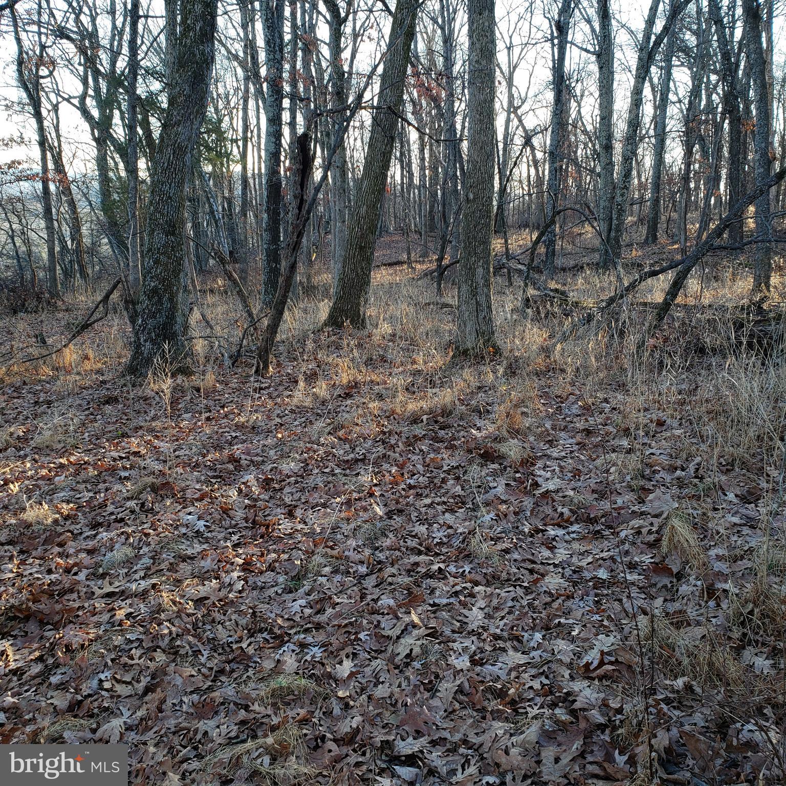 RITTERS HIDDEN VALLEY ESTATES - Land