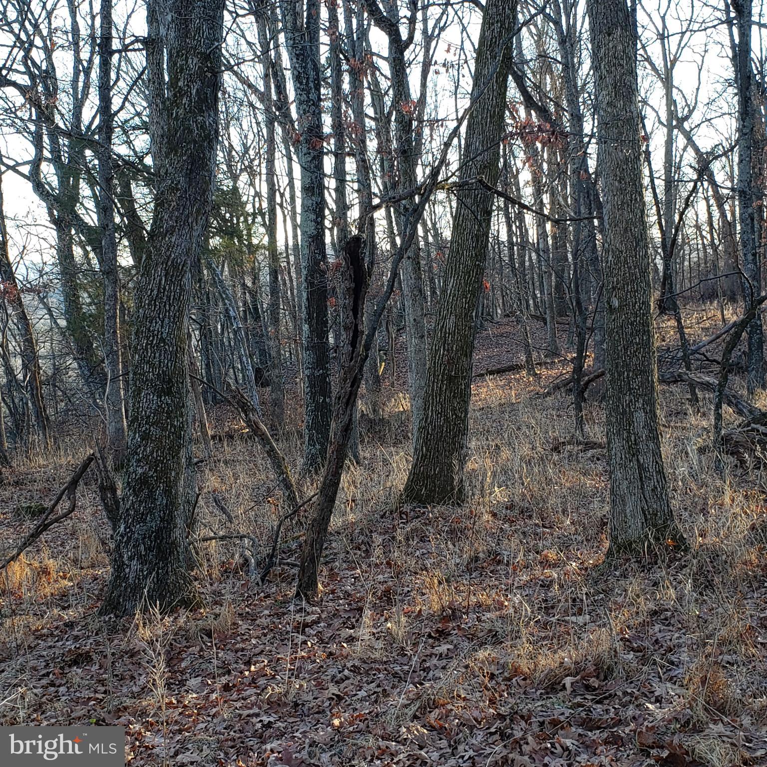 RITTERS HIDDEN VALLEY ESTATES - Land