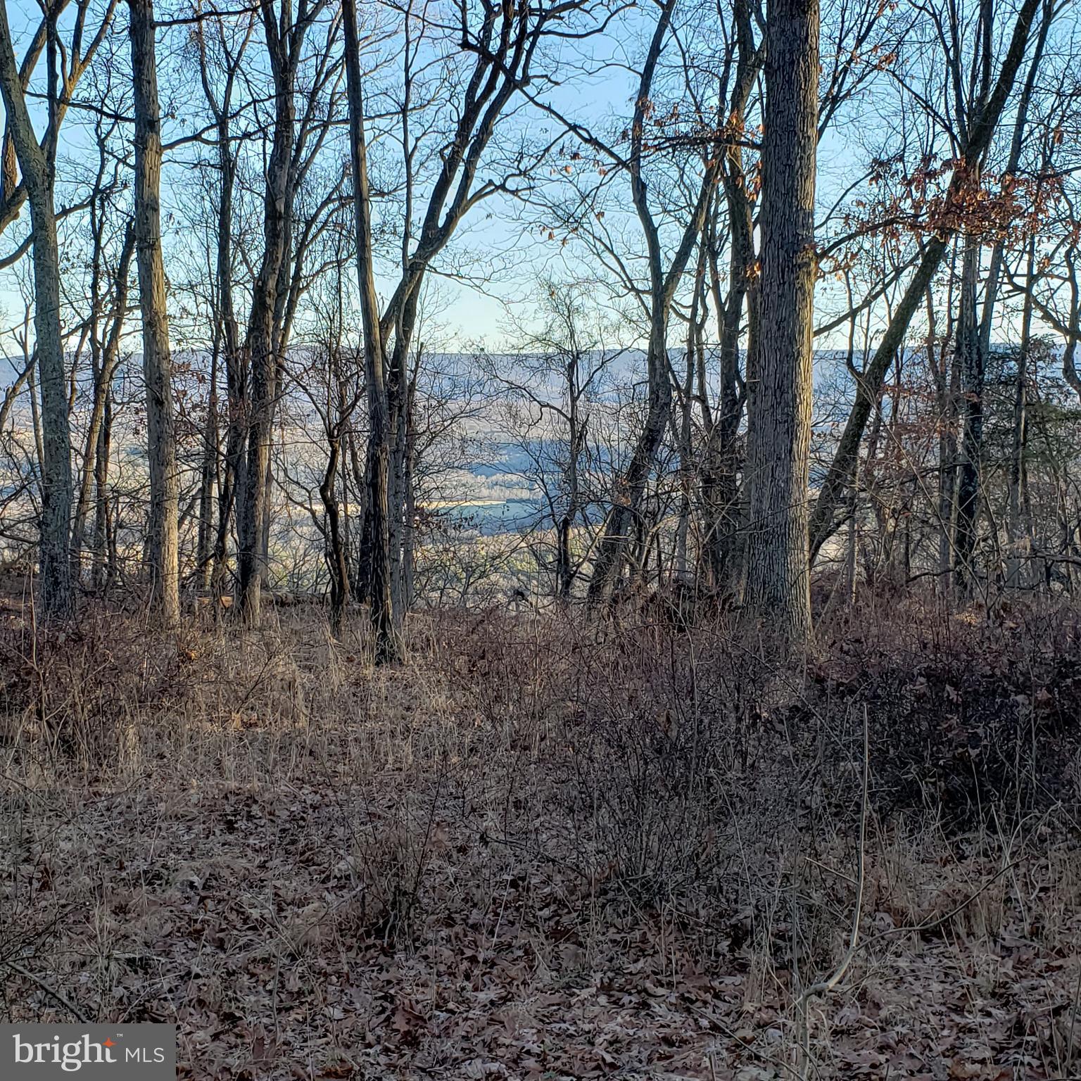 RITTERS HIDDEN VALLEY ESTATES - Land