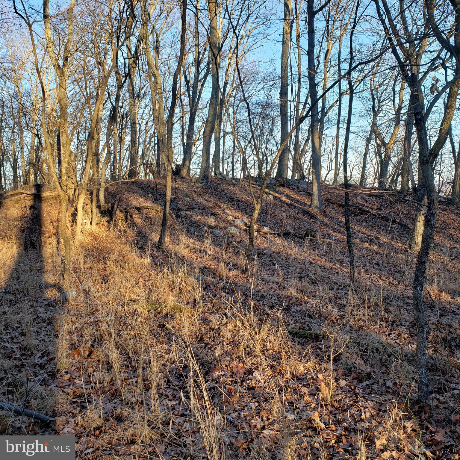 RITTERS HIDDEN VALLEY ESTATES - Land