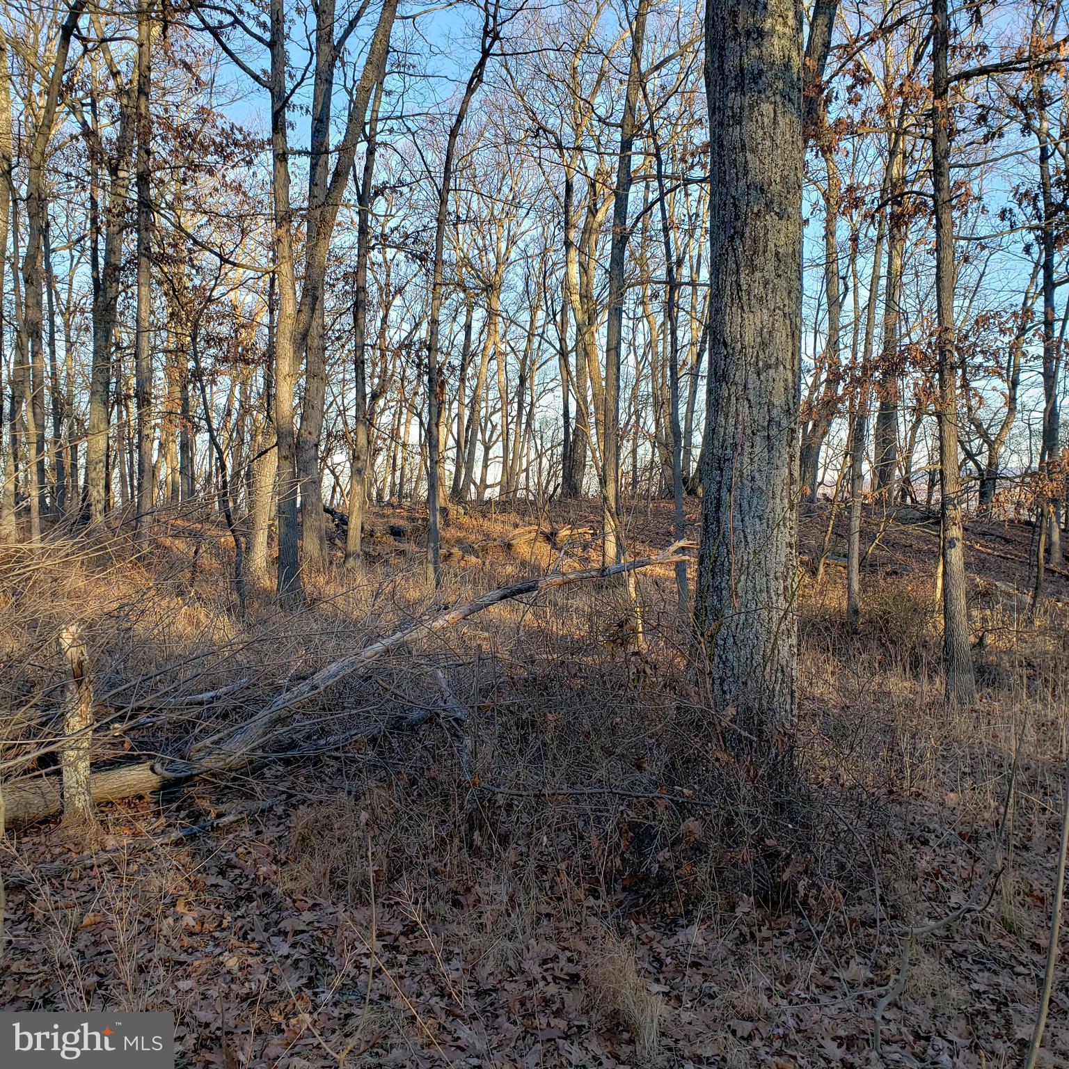 RITTERS HIDDEN VALLEY ESTATES - Land