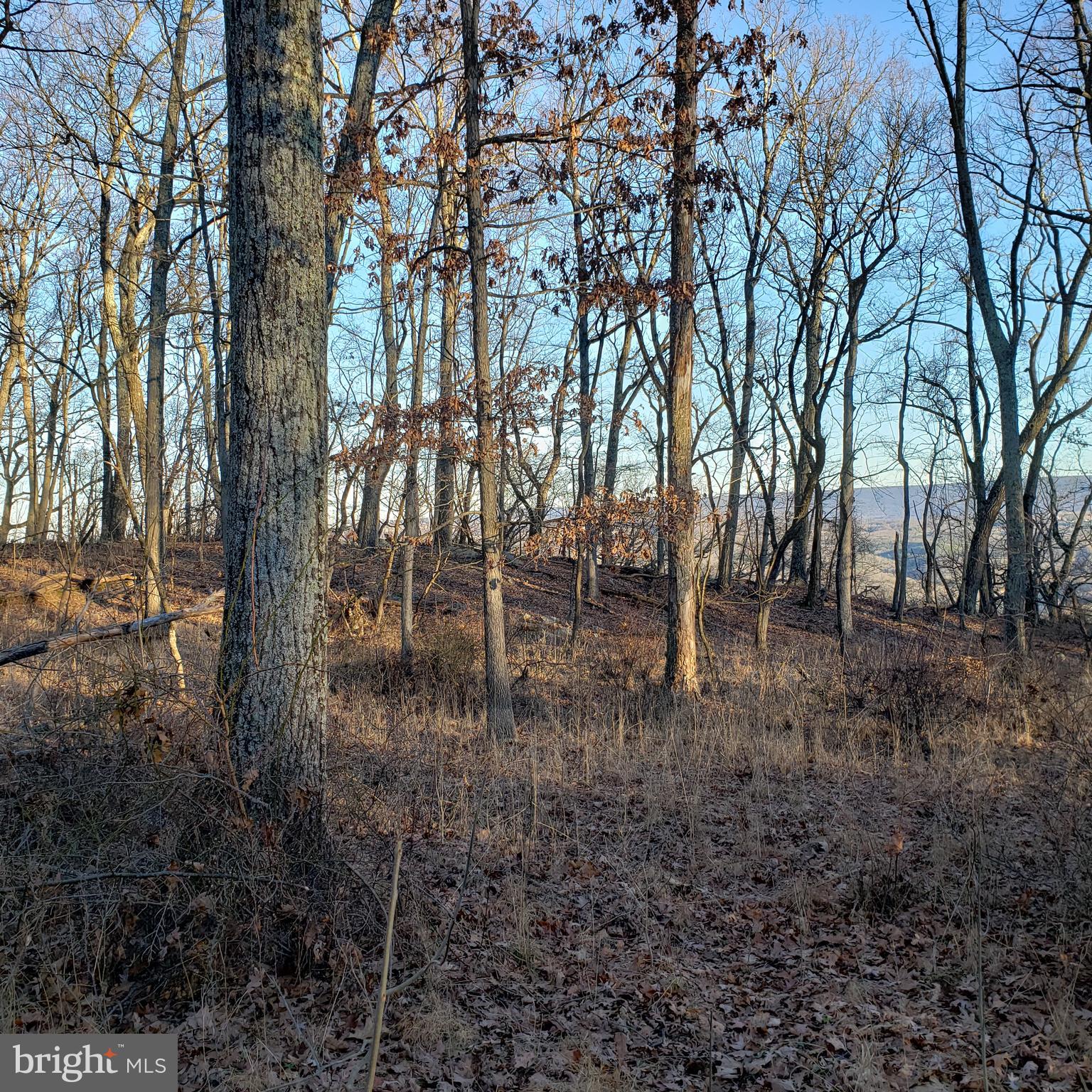 RITTERS HIDDEN VALLEY ESTATES - Land