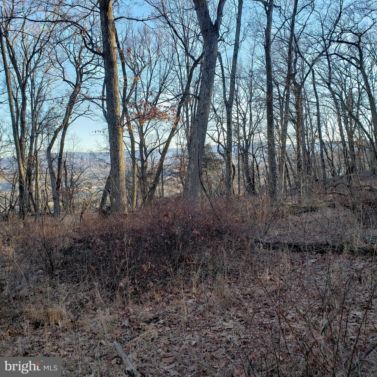 RITTERS HIDDEN VALLEY ESTATES - Land