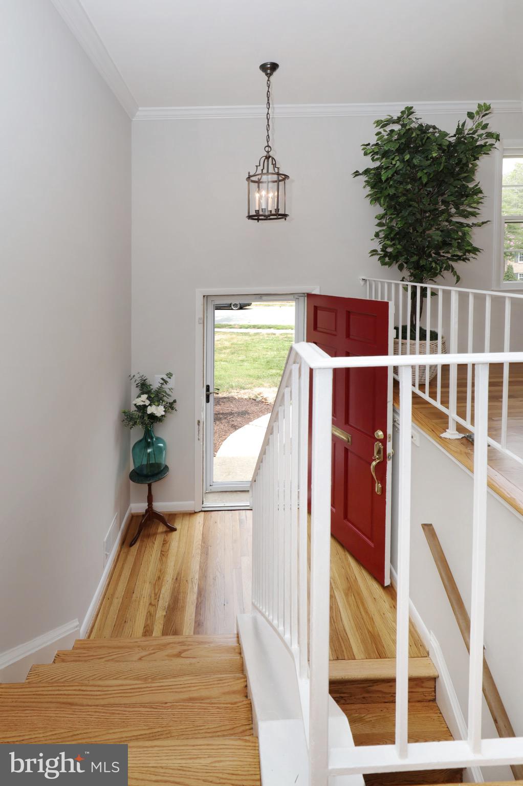 COLLINGWOOD SPRINGS - Residential