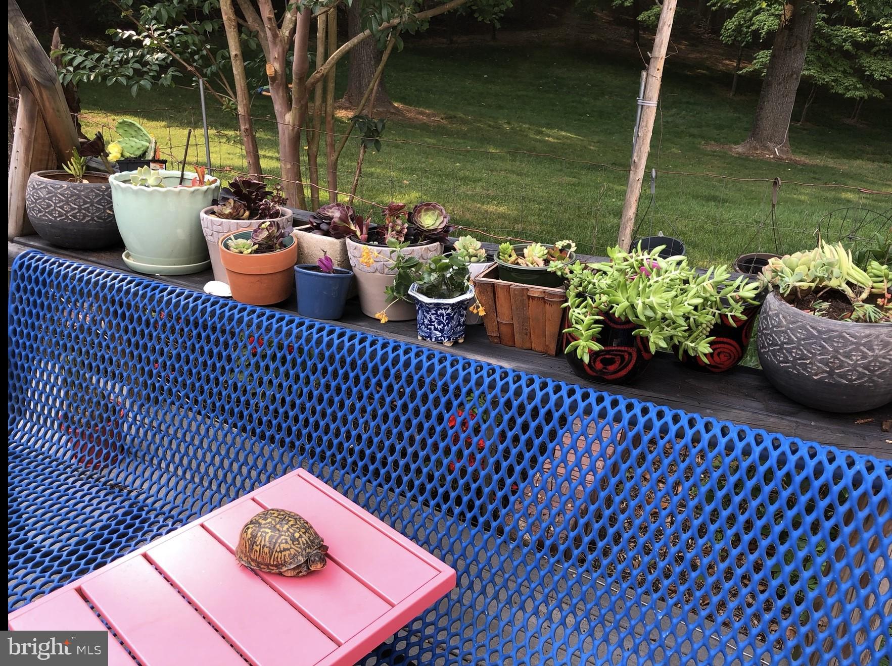 WILLOW RIDGE - Residential Lease