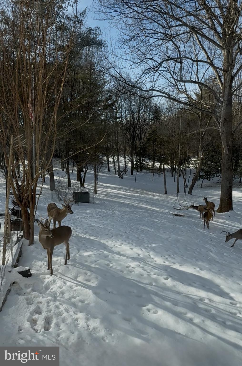 WILLOW RIDGE - Residential Lease