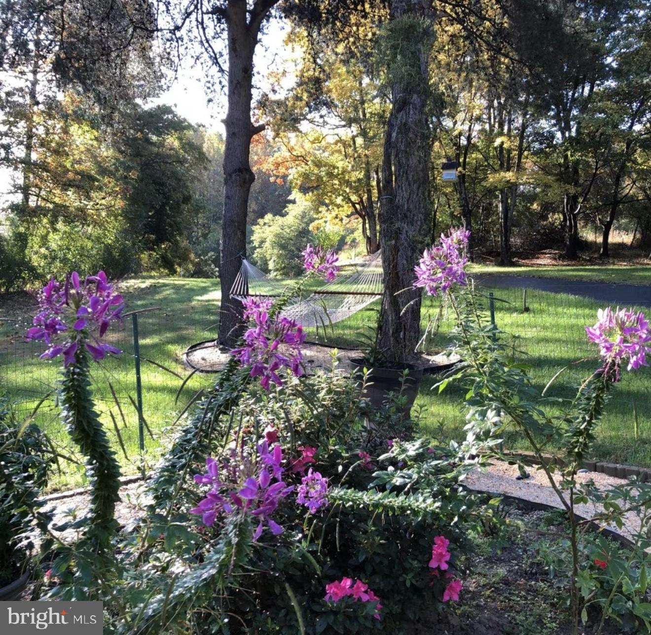 WILLOW RIDGE - Residential Lease