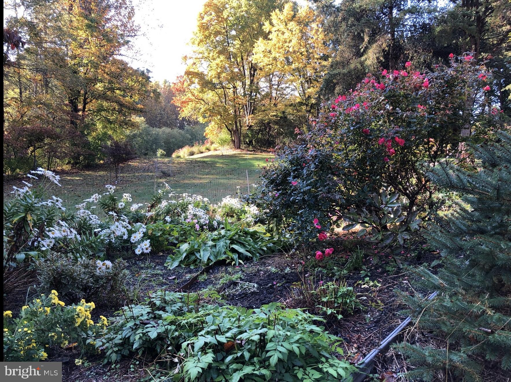 WILLOW RIDGE - Residential Lease