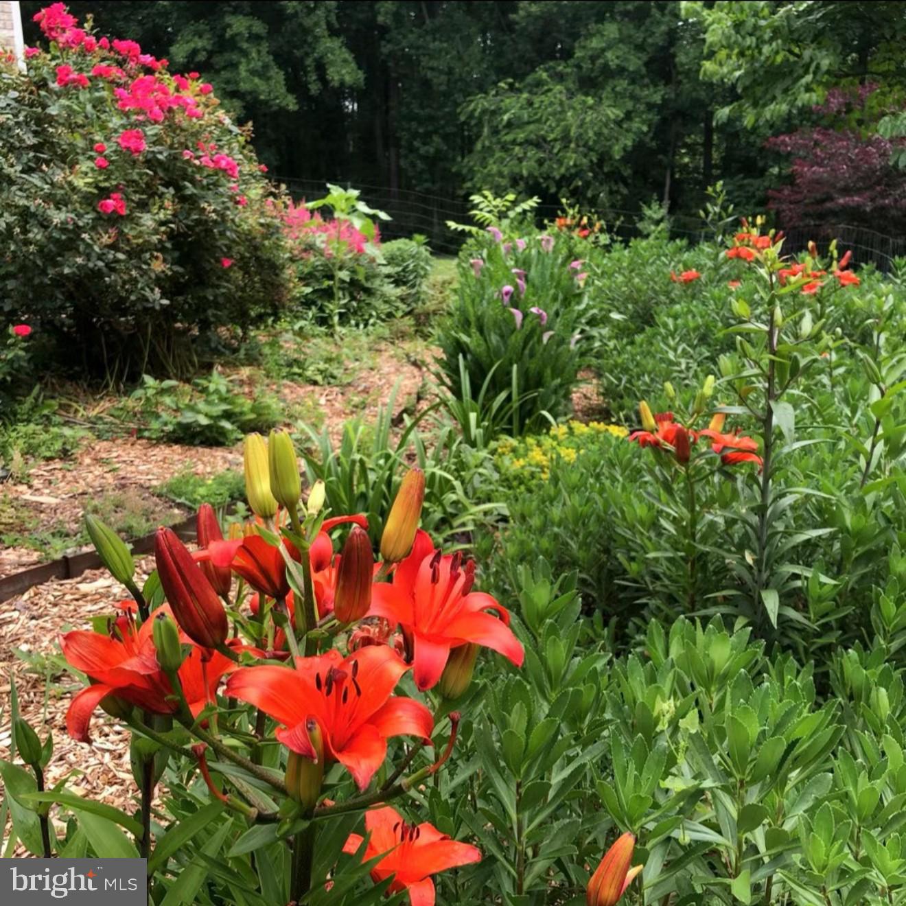 WILLOW RIDGE - Residential Lease