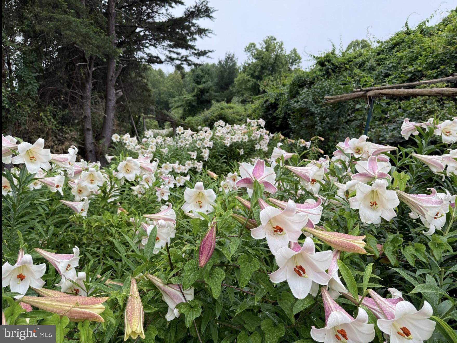 WILLOW RIDGE - Residential Lease