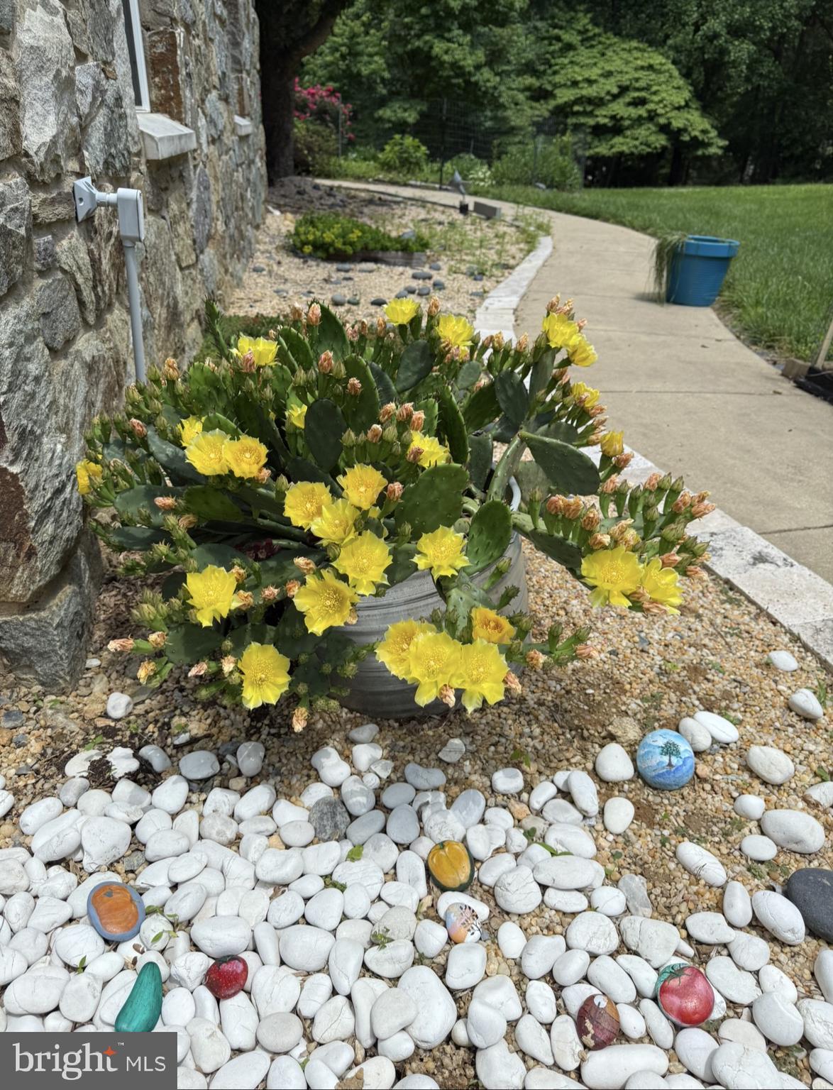 WILLOW RIDGE - Residential Lease