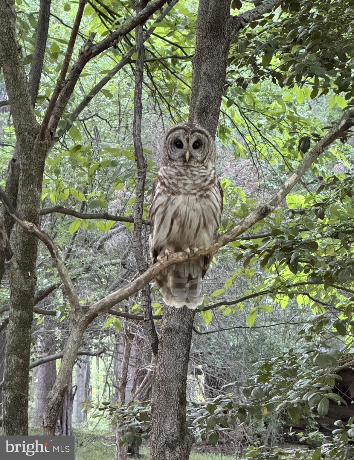 WILLOW RIDGE - Residential Lease