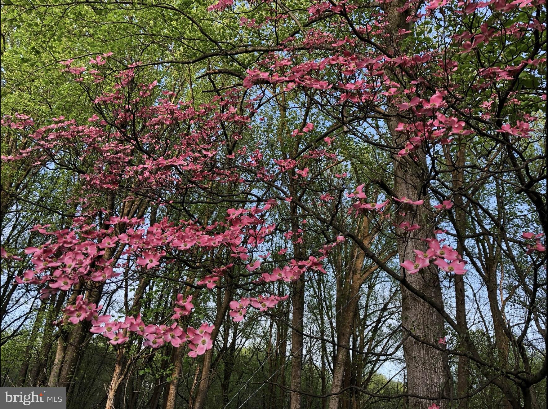 WILLOW RIDGE - Residential Lease