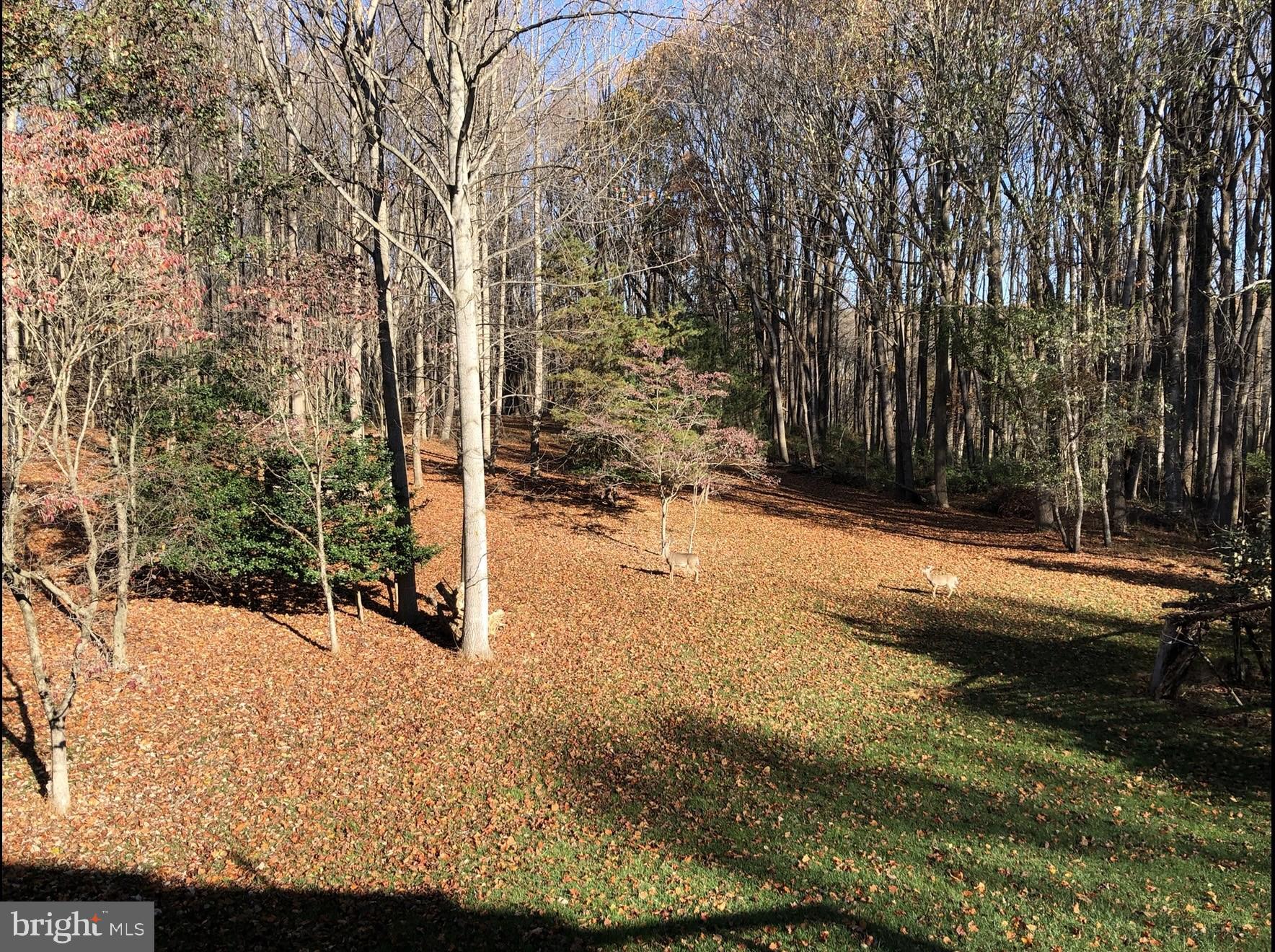 WILLOW RIDGE - Residential Lease