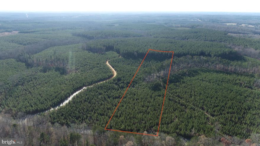 The Covered Bridge Tract is located on Community house rd in the Kents store area of Fluvana County. This property is comprised of 9 year old planted loblolly pine with the back portion of the property having some 20+ year old loblolly. This tract has a 4 bedroom soil test completed and is ready to be built on with no restrictions. Conveniently located just off 64 you will have the option to go to either Richmond or Charlottesville in around 30 minutes either way. This property is full of wildlife and has newly mulched roads running through it allowing access to the entire property. Power available at the road.