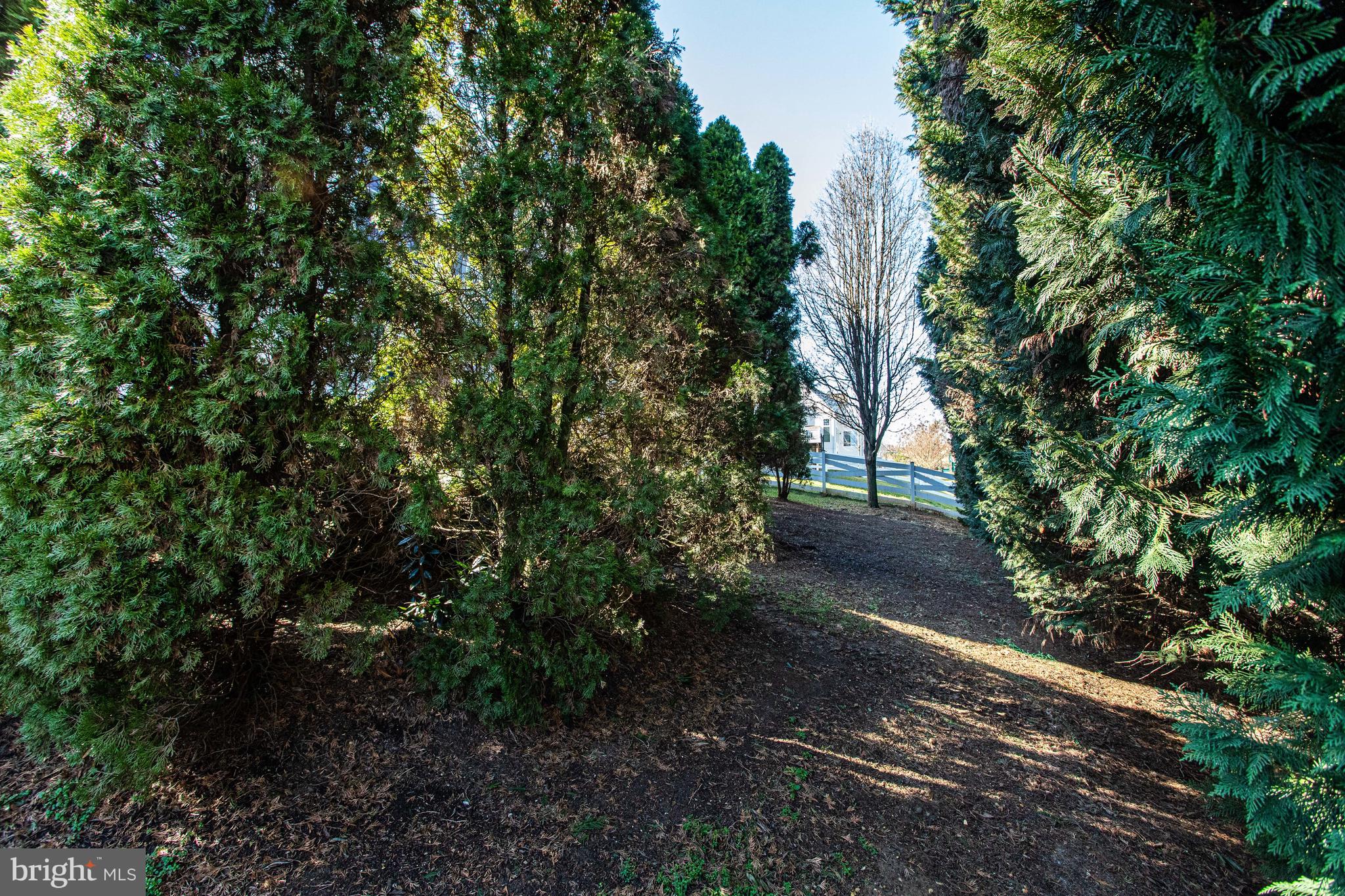 LAUREL HILL LANDBAY - Residential Lease