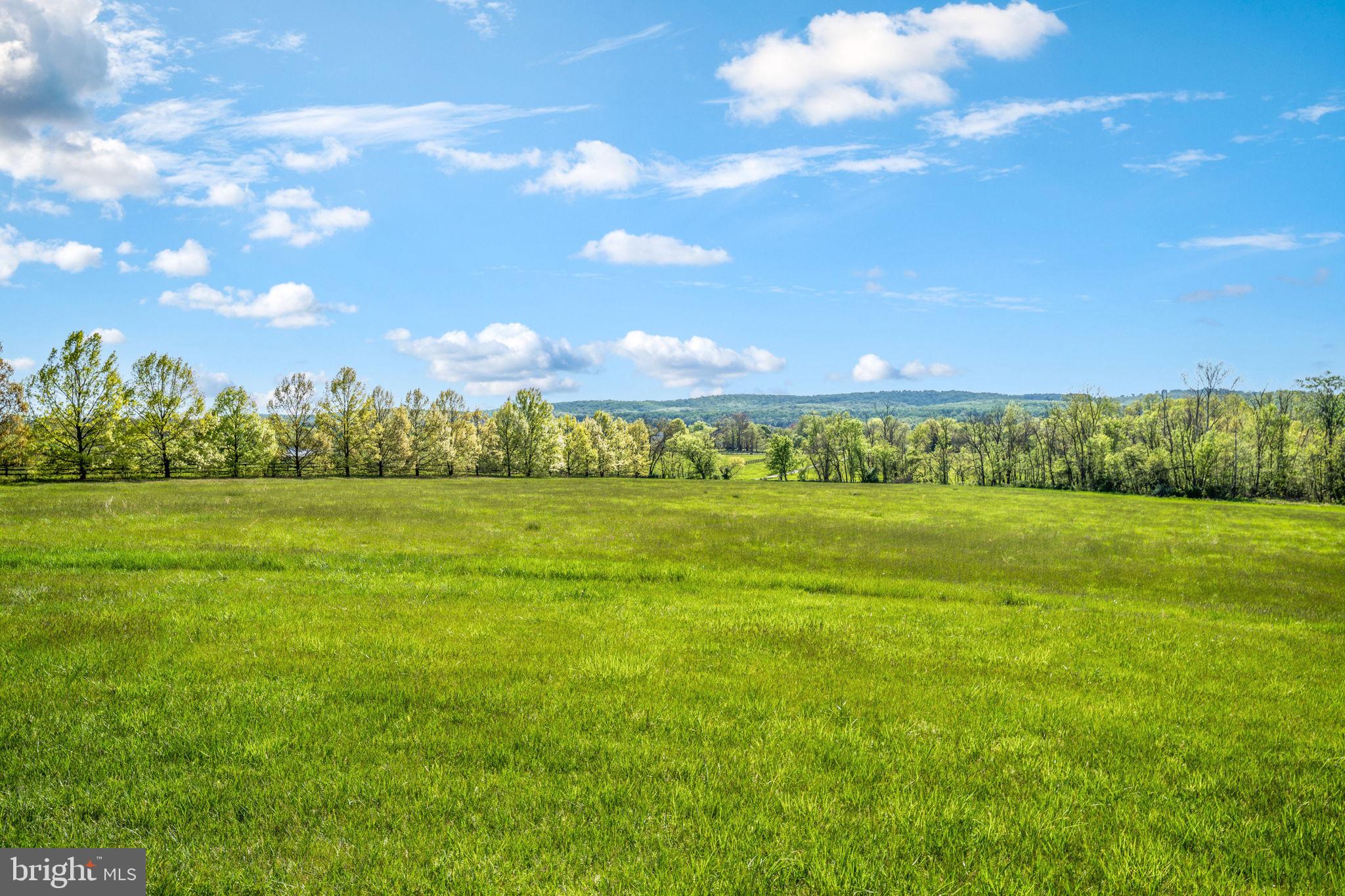 LEE'S CROSSING - Residential