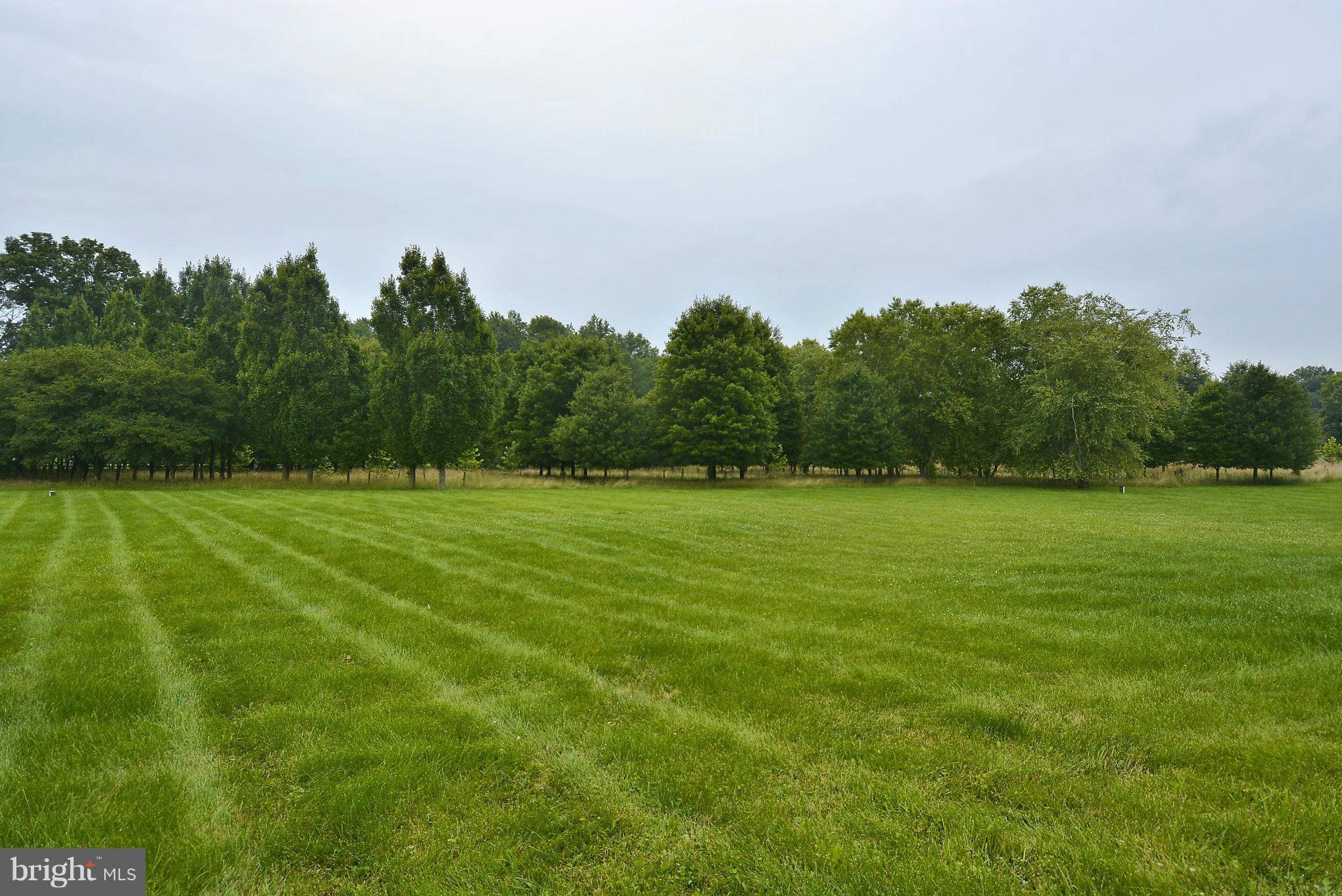 MAPLE RIDGE FARMS - Residential Lease