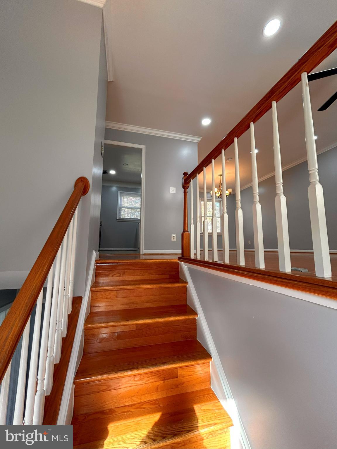 SHADOW WOODS - Residential Lease