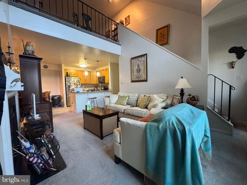 10122 HELLINGLY PLACE 293 MONTGOMERY VILLAGE MD 20886