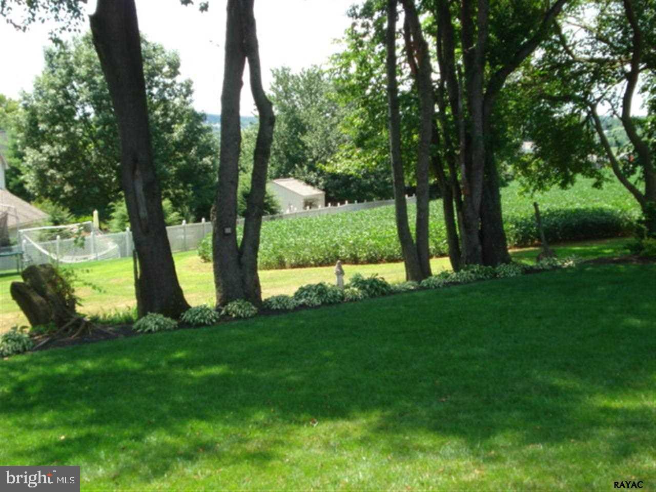 CHESTNUT RUN - Residential